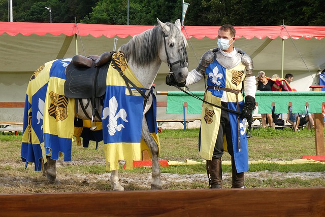 的有效性 的有效性