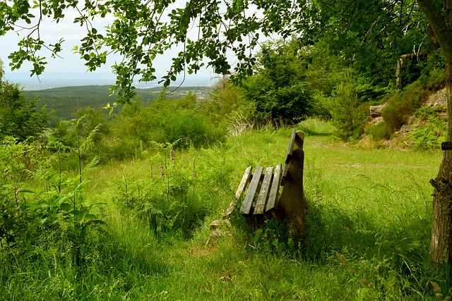 得淋漓尽致 得淋漓尽致