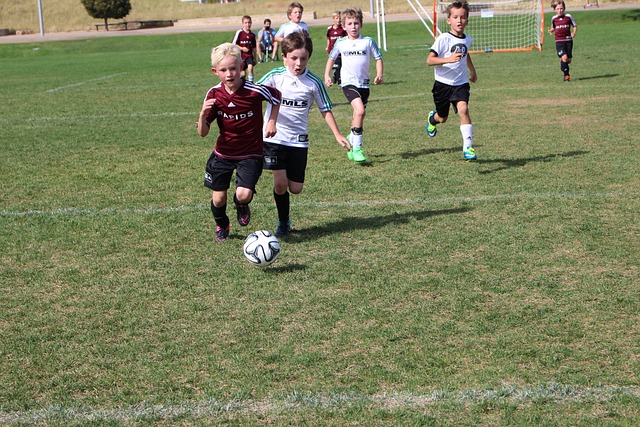 不仅有助于 不仅有助于