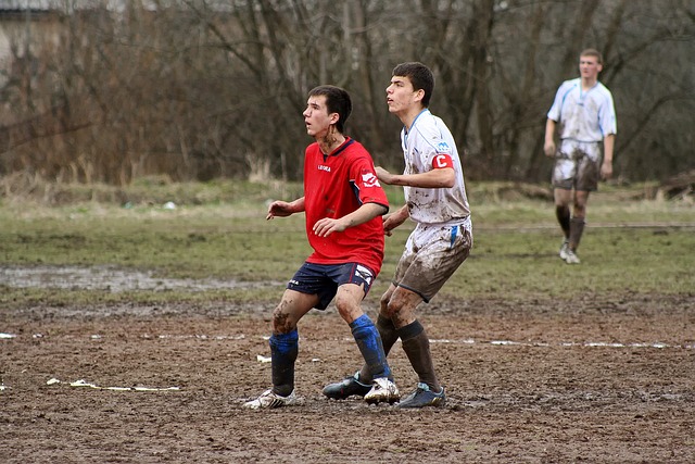 便成为了许 便成为了许