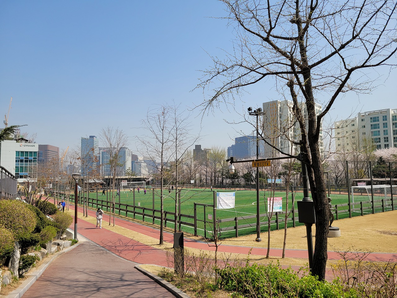 雅而动人的 雅而动人的