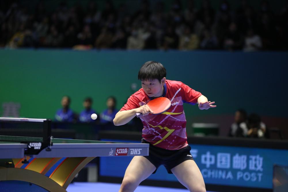 多项荣誉的 多项荣誉的