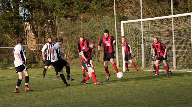 我们可以观 我们可以观