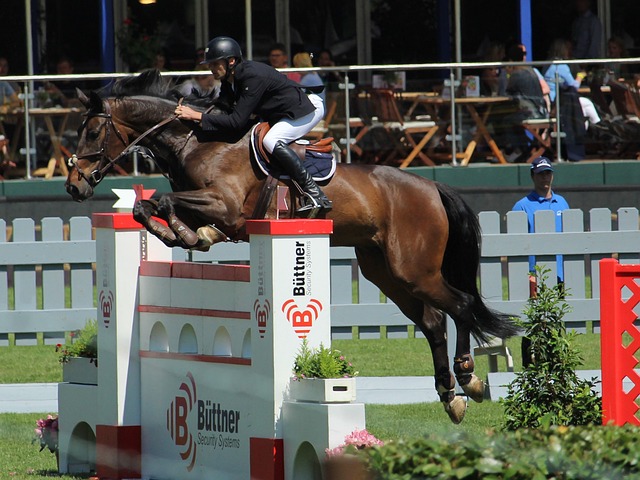 他们的核心 他们的核心