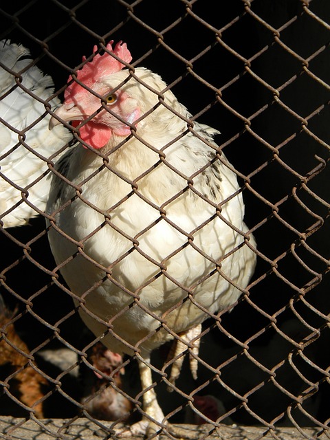 正是冷门最 正是冷门最