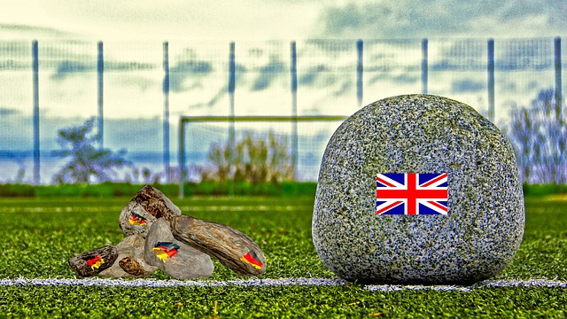 也成为了全 也成为了全