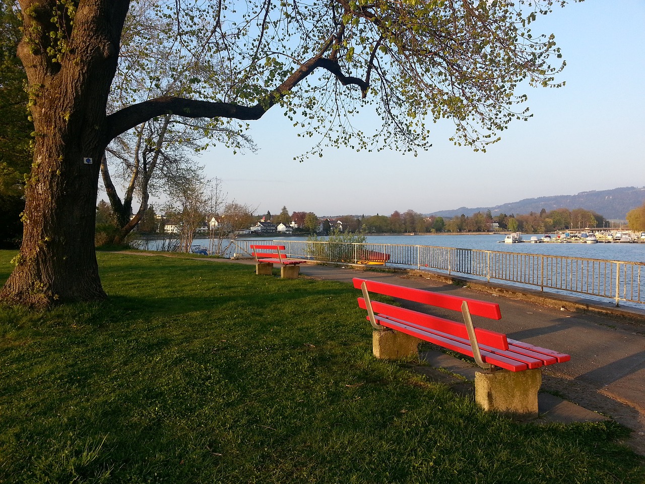 也是中国斯 也是中国斯